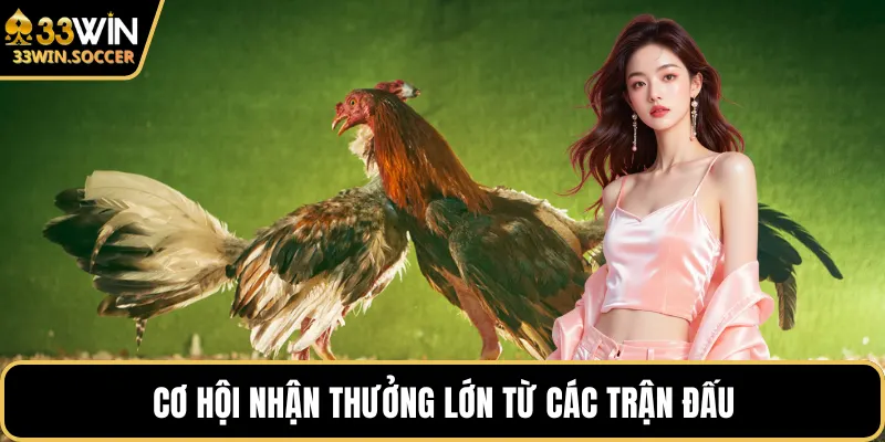 Cơ hội nhận thưởng lớn từ các trận đấu