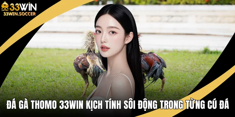 Đá gà Thomo