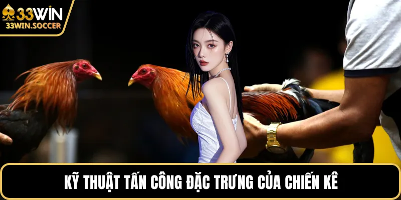 Kỹ thuật tấn công đặc trưng của chiến kê