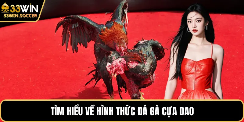 Tìm hiểu về hình thức đá gà cựa dao